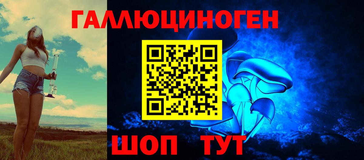 Галлюциногенные грибы GOLDEN TEACHER  Вход с VPN  наркошоп  Нефтекумск  Галлюциногенные грибы мицелий 